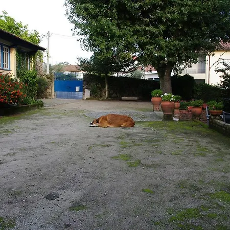 Apartment Tapada Flats