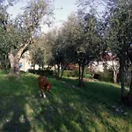 Tapada Flats Viseu
