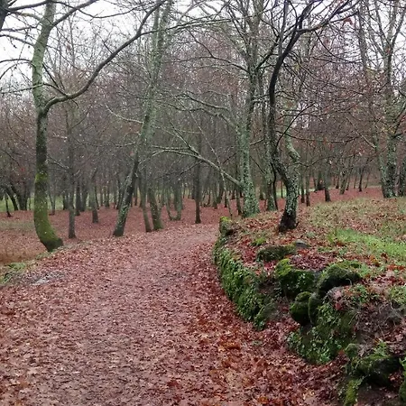 Tapada Flats Lejlighed *