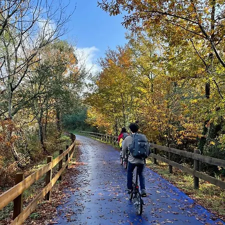 Tapada Flats * Viseu