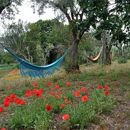 Tapada Flats Διαμέρισμα *