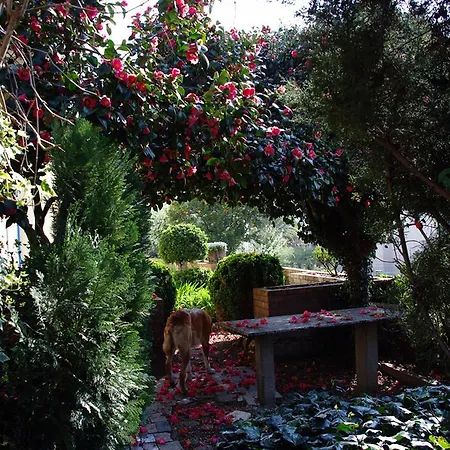 Lejlighed Tapada Flats Viseu